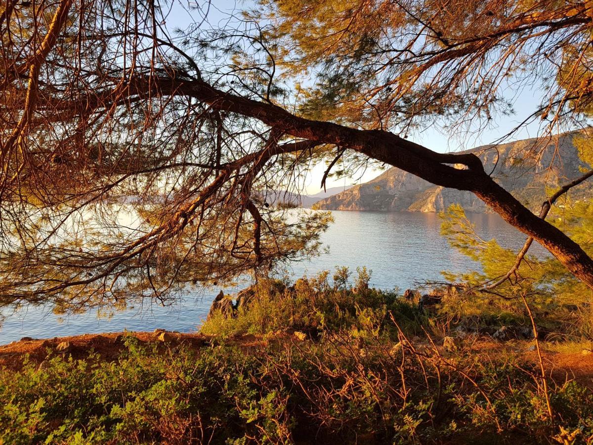 Bed And Breakfast Tenuta Palmieri Only Adult Maratea Εξωτερικό φωτογραφία