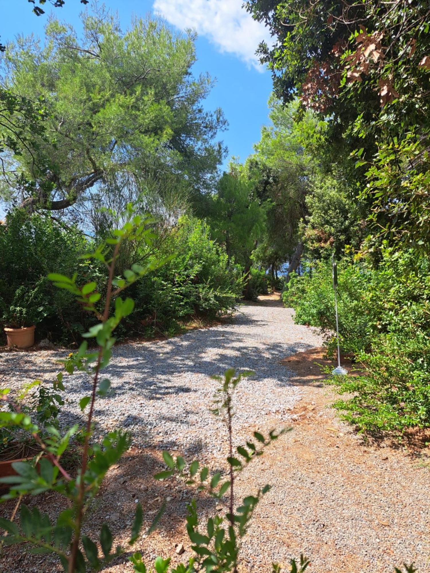 Bed And Breakfast Tenuta Palmieri Only Adult Maratea Εξωτερικό φωτογραφία